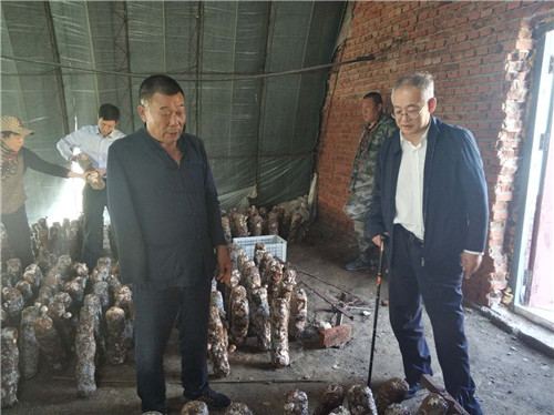 圖為于長源一行考察殘疾人就業(yè)扶貧基地