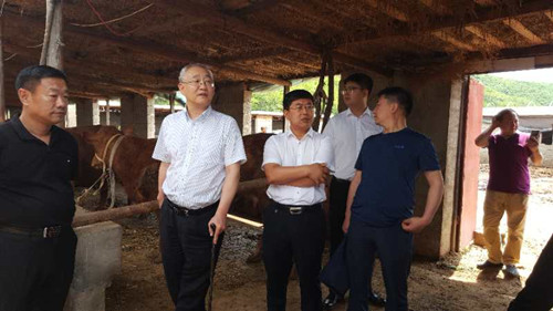 圖為調(diào)研現(xiàn)場