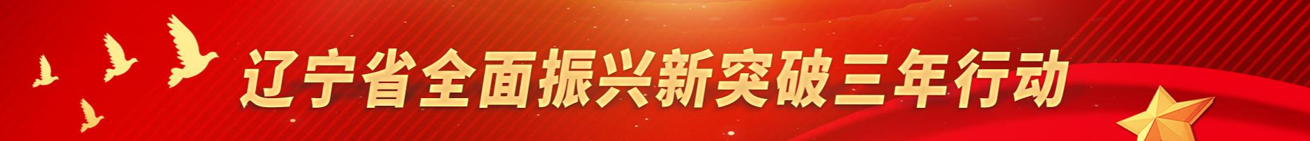 貫徹落實(shí)習(xí)近平總書(shū)記在深入推進(jìn)東北振興座談會(huì)上的重要講話(huà)精神