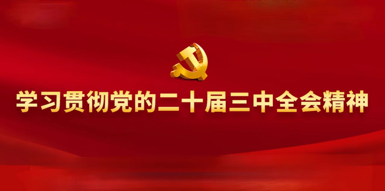 學(xué)習(xí)貫徹黨的二十屆三中全會(huì)精神